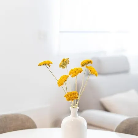 Apartment Mirta Murter